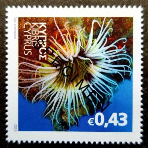 Cyprus Mediterranean Marine Environment 2013 Sea Anemone (specimen stamp) MNH