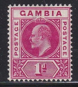 Album Treasures Gambia Scott # 29 1p Edward VII Mint Hinged