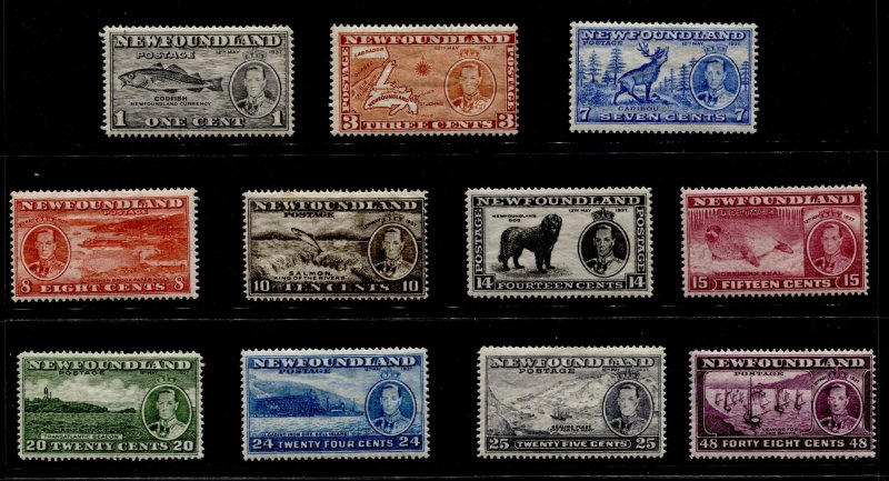 Canada- Newfoundland #233-243 Definitive Set MLH