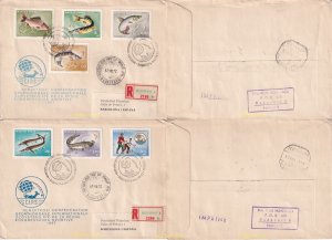740083 MNH HUNGRIA 1967 14 CONGRESO DE LA CONFEDERACION INTERNACIONAL DE LA P...