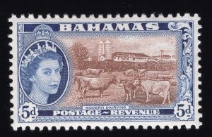 Bahamas Scott #158-170 Stamps - Mint Set