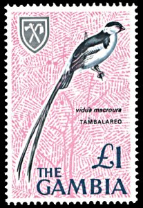 Gambia 227, MNH, Pin-Tailed Whydah