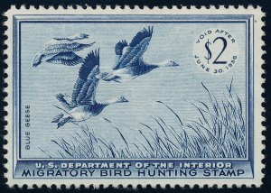 US RW22 $2 1955 Hunting Permit stamp Blue Geese VF NH