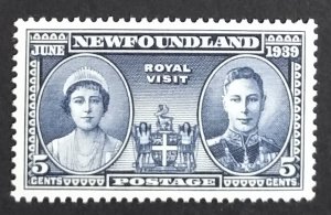 Newfoundland 249 VF MNH