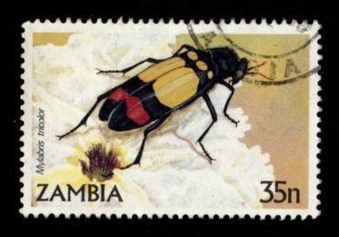 Zambia #339 used