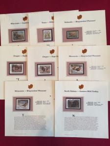 US 8 State Birds NH individually mounted on presentation sheets Face $43.00++