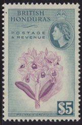 British Honduras SG 190 SC # 155 MH  perf 13½ Mountain Orchid  see scan