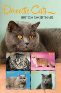 Liberia - 2014 - DOMESTIC CATS BRITISH SHORTHAIR - Sheet of 4 - MNH