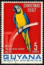 Bird, Parrot, \Mille\ Bilingual Macaw, Guyana SC#34 used