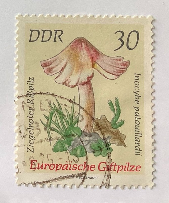 Germany DDR 1974 Scott 1538 used - 30pf,  Poisonous Mushrooms