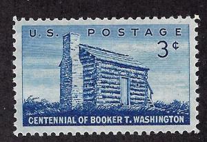 1074 Mint,OG,NH... SCV $0.25