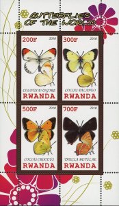 Butterfly Stamp Colias Croceus Insect Souvenir Sheet of 4 Stamps MNH