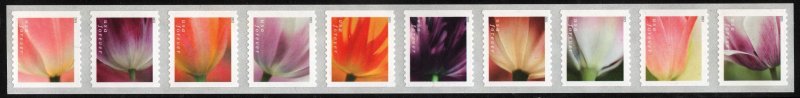SC#5767-5776 (Forever) Tulip Blossoms Coil Strip of Ten (2023) SA