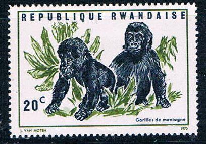 Rwanda 359 Unused Mountain Gorillas (R0356)+