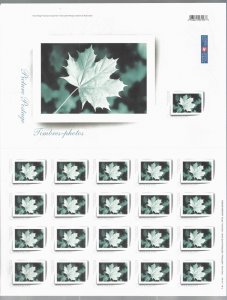 CANADA # 2064 VF MINT NH PANE OF 21 PICTURE POSTAGE MAPLE LEAF IN FRAME BS31851