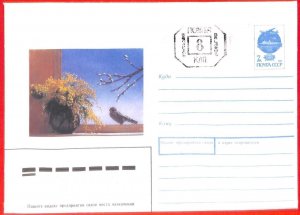 aa0667 - BELARUS - Postal History - Overprinted STATIONERY COVER - Flowers BIRDS