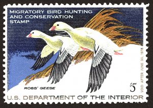 U.S. #RW44 MINT OG NH