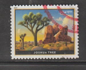 SC5347 Joshua Tree used