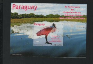 Thematic Bird stamps - Paraguay 2012 UN Environment & Birds Mini Sheet - mint