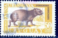 Capybara, Uruguay stamp SC#C363 used