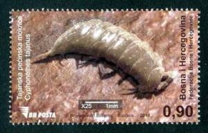 BOSNIA & HERZEGOVINA/2014, Tajan cave woodlouse (Fossil), MNH