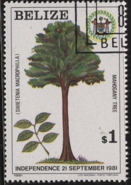 Belize 598 (used cto) $1 Independence: mahogany tree (1971)