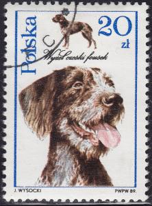 Poland 2902 Dogs Czech Fousek Pointer 1989