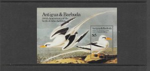 BIRDS - ANTIGUA #849  AUDUBON  MNH