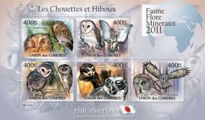 COMORES 2011 SHEET OWLS HIBOUX EULEN BUHOS CORUJAS CHOUETTES cm11122a