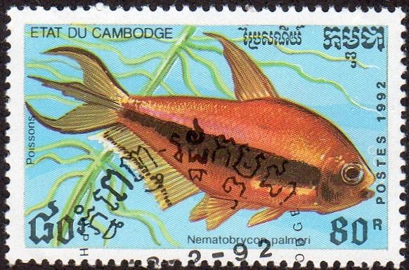 Cambodia 1199 - Cto - 80r Barb (Nematobrycon) (1992)