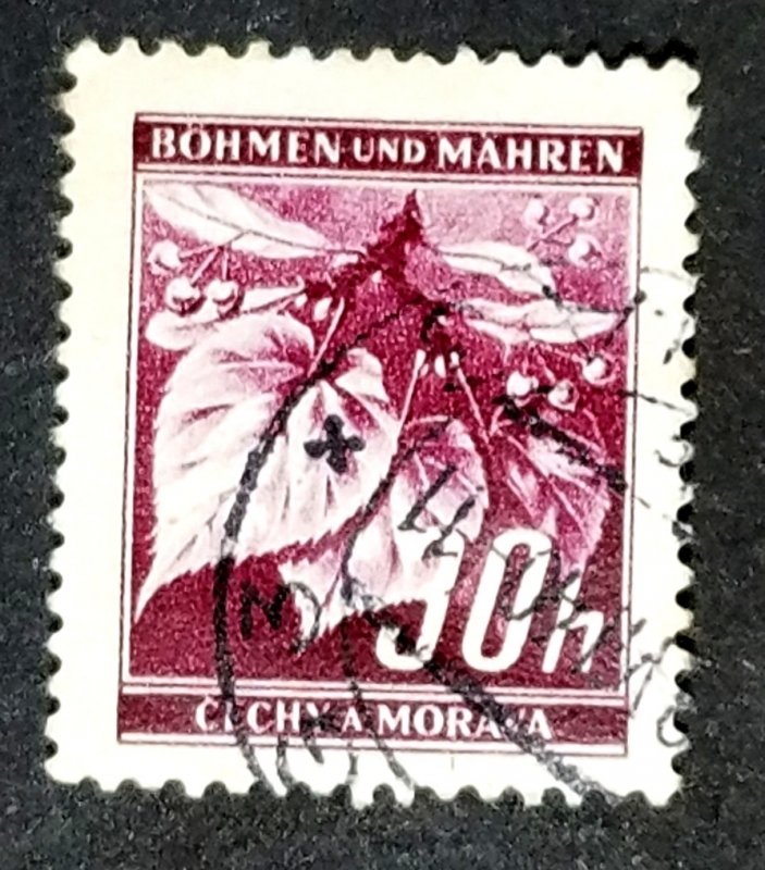 Bohemia and Moravia #24 Used FVF    ...............(XRA11)