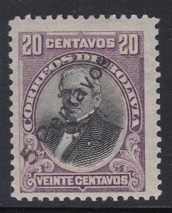 Bolivia 1911 Andres Santa Cruz 5c on 20c Violet & Black M Mint. Scott 96