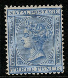 NATAL SG100 1884 3d BLUE MTD MINT