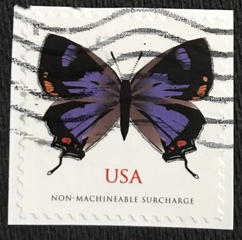 US #5568 Used Single OP Colorado Hairstreak Butterfly