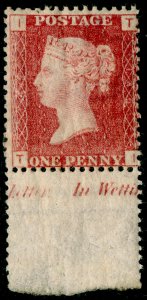 SG43, 1d rose-red plate 145, NH MINT MARGINAL. Cat £48++. TI