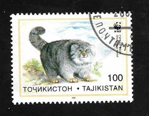 Tajikistan 1996 - FDI - Scott #93