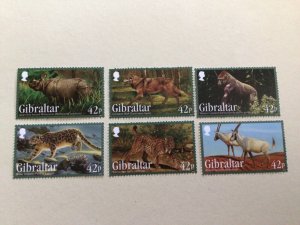Gibraltar 2012 Endangered Animals mint never hinged  stamps  set A14038