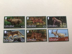 Gibraltar 2012 Endangered Animals mint never hinged  stamps  set A14040