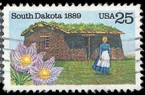 US - #2416 - Used - SCV-0.25