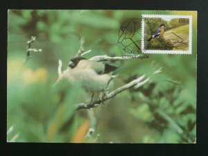 bird bullfinch Europa Cept 1986 maximum card Azores Portugal 86064