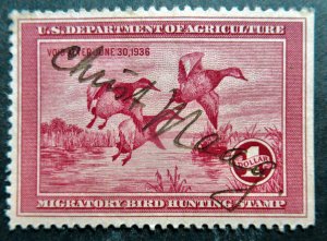 US 1935 Duck Stamp #RW2 Used, Full Gum CV $160