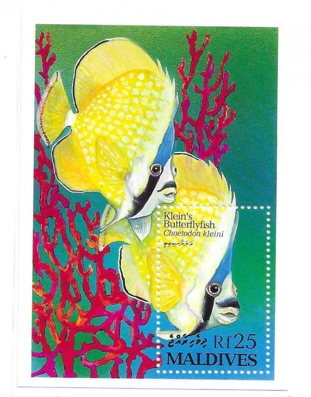 Maldive islands 1993 Marine Life Fishes Butterflyfish S/S Sc 1869a MNH C5