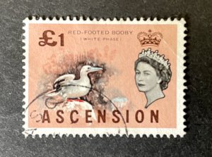 Ascension Island: 1963 Birds Definitive, £1 Red Footed Booby, Fine Used