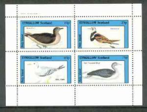 Eynhallow 1982 Birds #20 (Gull, Turnstone, Kittiwake &...