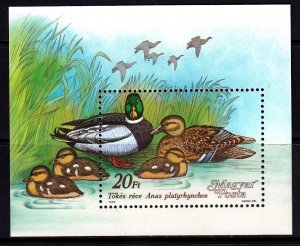 Hungary 1988 Ducks - Anas Platyrhynchos Mint MNH Miniature Sheet SC 3141