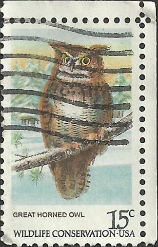 # 1763 USED GREAT HORNED OWL