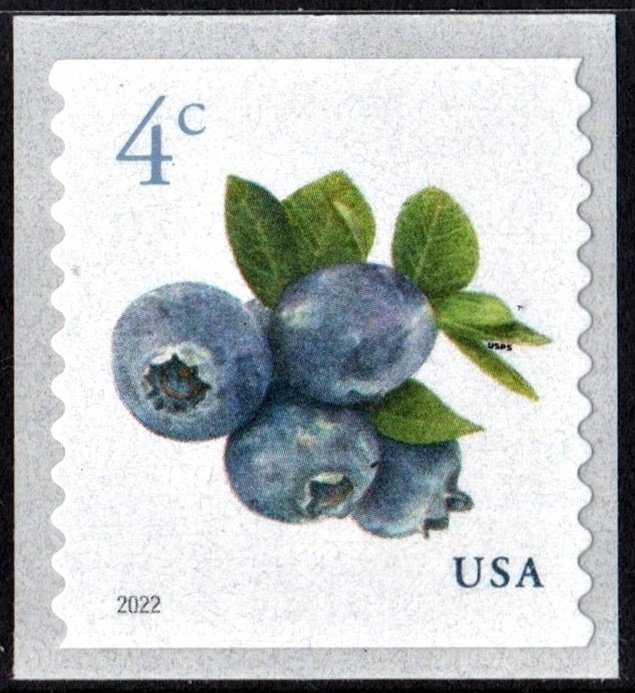 NEW ISSUE 4¢  Blueberries Coil Single (2022) SA