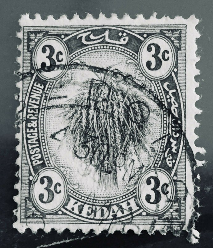 MALAYA 1920 Kedah 3c USED postmark BEDONG SG#19 M3210