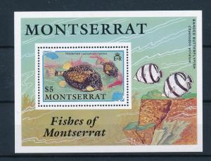 [49498] Montserrat 1991 Marine life Fish MNH Sheet