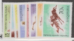 Albania Scott #957-964 Stamp  - Mint NH Set